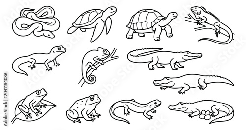 Foto Reptile and amphibian line art icons, set of 12 black and white vector illustrat