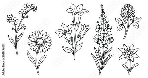 Bild auf Leinwand Hand drawn alpine wildflower collection, botanical line art vector set, minimali