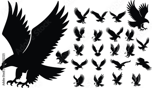 Photos Mega Set of Flying and Swooping Eagle Silhouette Vector Illustrations, Modern Birds of Prey Silhouette Bundle, Hunting Hawk, Falcon, and Apex Predator Graphics, vector, illustration, silhouette