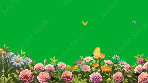 2d animation Flowers garden bed blooming with colorful roses and daisies on the bottom frame animation on green screen. Beautiful summer floral landscape meadow template layout with flying