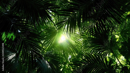 Sunbeams pierce dense tropical foliage, creating a dappled green canopy