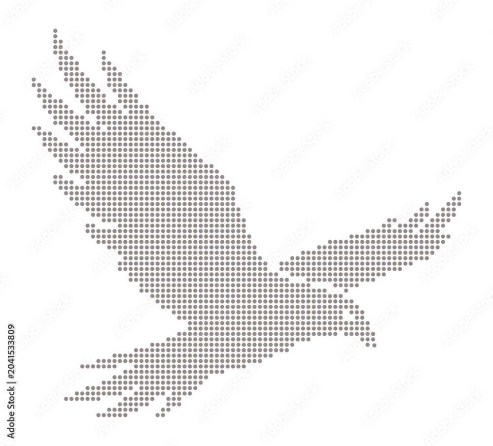 Obraz premium Grey Dot Eagle Flying on White Background hawk bird.