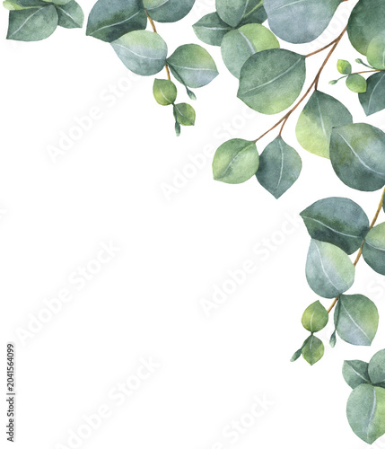 Watercolor corner border wreath with green eucalyptus leaves and branches. Gr...