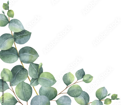 Watercolor corner border wreath with green eucalyptus leaves and branches. Gr...