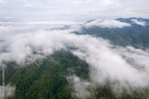 Landscape of Morning Mist with Mountain Layer. mountain ridge and clouds in rural jungle bush forest