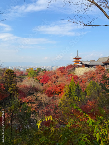 Sunrise over Sanjunoto pagoda and Kiyomizu-dera Temple in the autumn season, Kyoto, Japan