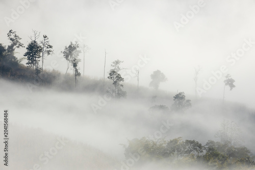 Landscape of Morning Mist with Mountain Layer. mountain ridge and clouds in rural jungle bush forest