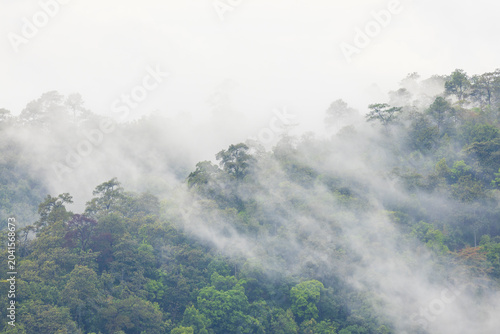 Landscape of Morning Mist with Mountain Layer. mountain ridge and clouds in rural jungle bush forest