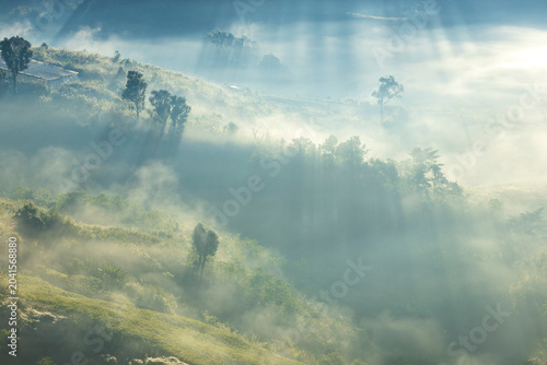 Landscape of Morning Mist with Mountain Layer. mountain ridge and clouds in rural jungle bush forest