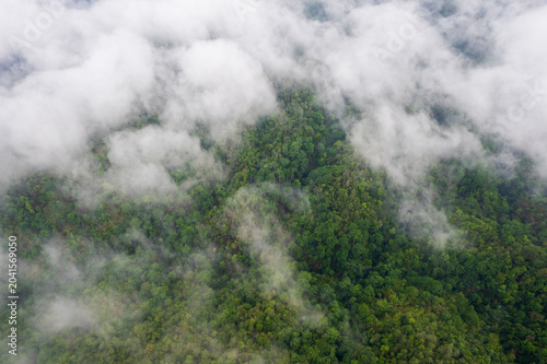Landscape of Morning Mist with Mountain Layer. mountain ridge and clouds in rural jungle bush forest