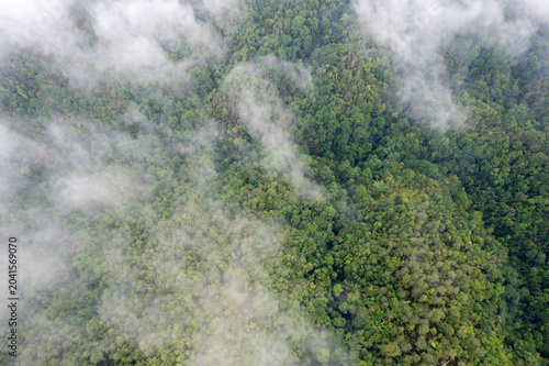 Landscape of Morning Mist with Mountain Layer. mountain ridge and clouds in rural jungle bush forest