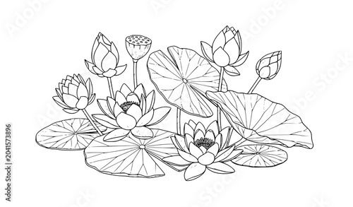 Elegant Lotus Flower and Lily Pad Botanical Line Art Illustration Collection Vector Design