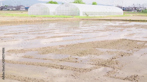 静かな水面に青空と白い雲が映る代掻き前の田んぼ。太陽が雲に隠れて陰になる様子