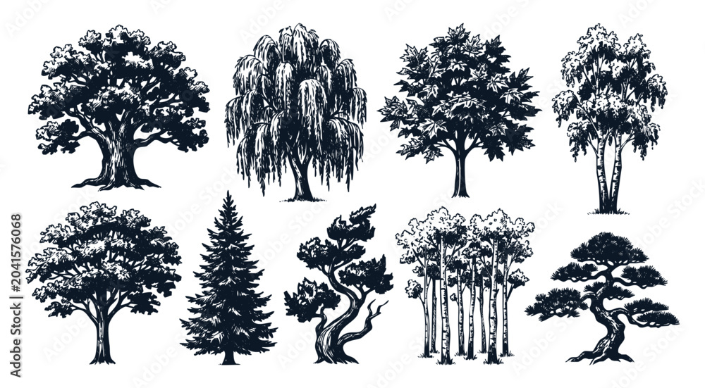 Fototapeta premium Hand Drawn Trees Different Collection Sketch Vector Set