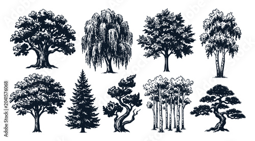Hand Drawn Trees Different Collection Sketch Vector Set