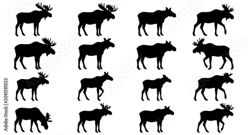 Schilderij op canvas Moose Silhouette Collection, 16 Vector Icons of Wildlife Animals in Various Pose