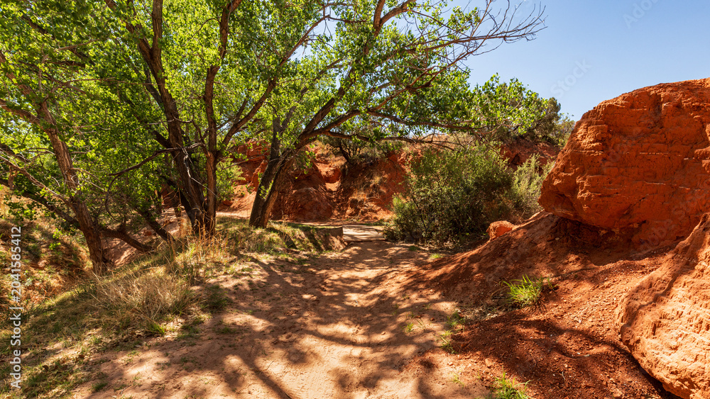 Obraz premium Hiking Trail Through Palo Duro Canyon