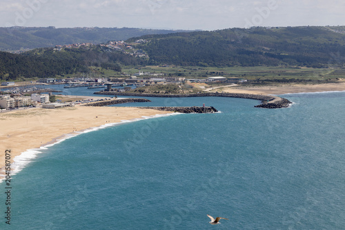 Aerial view of sandy South Beach (Praia do Sul) and harbour district, Nazare, Portugal