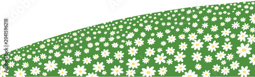 Flower Garden