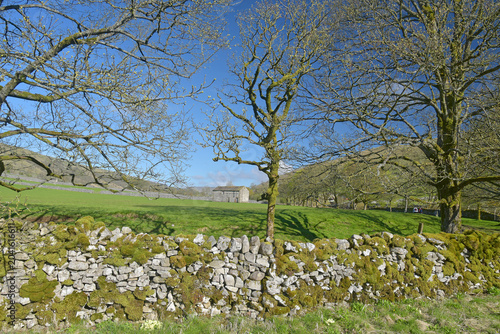 Dry stone wall in field near Kettlewell in Wharfedale in the Yorkshire Dales National Park