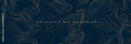 Colorful topographic map with contour lines. Geographic terrain grid, relief height elevation. Ground path pattern. Travel and navigation, cartography design element. Vector illustration