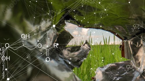 Molecular Structures in Motion Chemistry Visualization Inside Plastic Environment