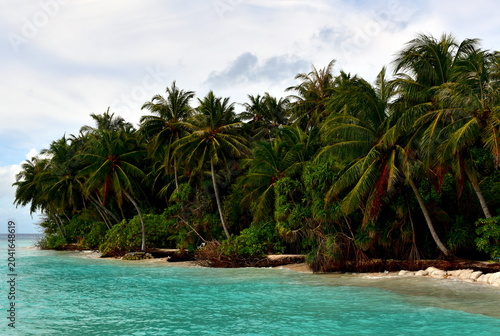Palmen am Strand einer Insel auf den Malediven