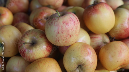 Foto Fresh Apple Harvest From Orchard To Table