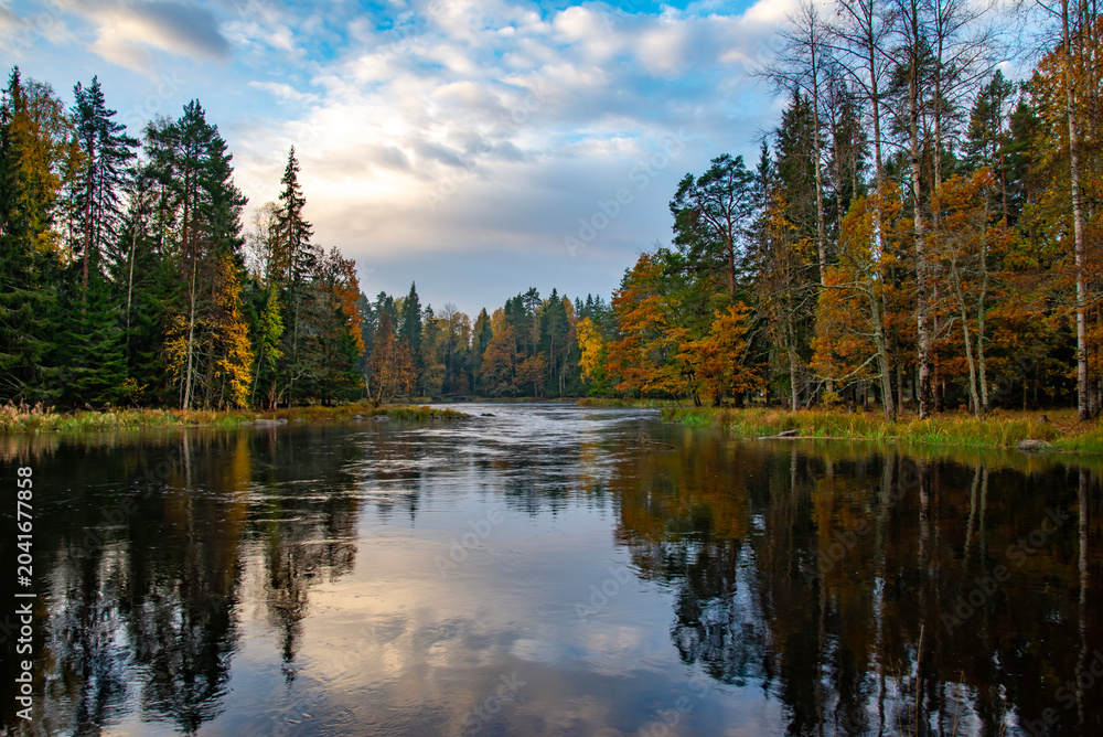 Fototapeta premium Autumn colours in river landscape in Farnebofjarden national park in Sweden