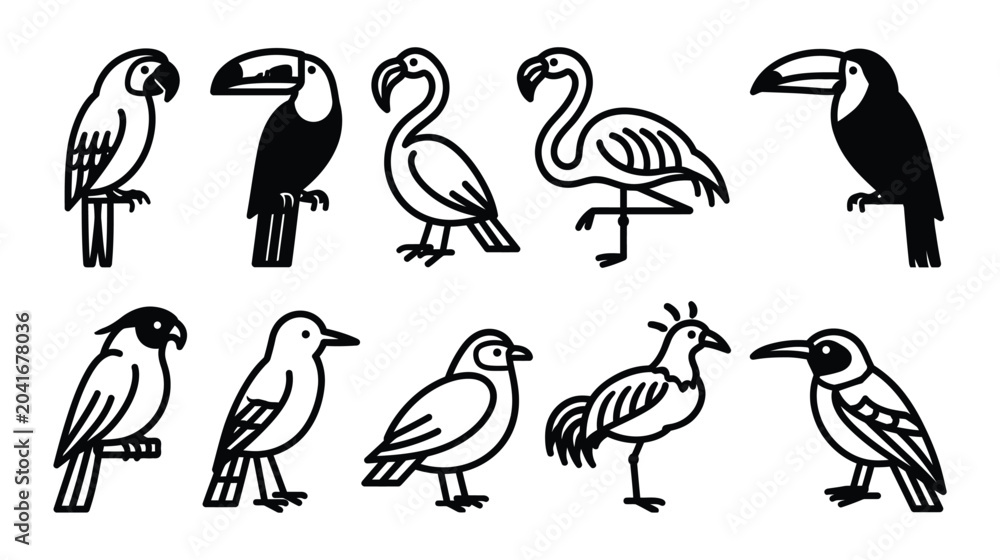 Obraz premium Birds illustration featuring various species in black and white silhouette