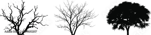 Fotografía Black tree silhouettes set, leafless and full canopy forest isolated vector illu