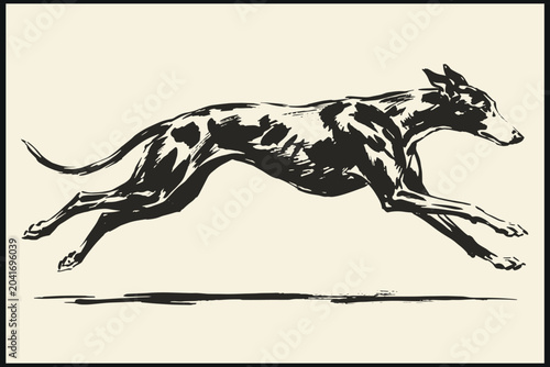 Tableau sur toile Stylized greyhound running illustration in dynamic black and white line art