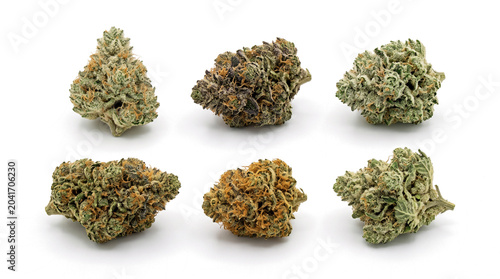 Collection of Six Distinct Cannabis Buds Isolated on White Background