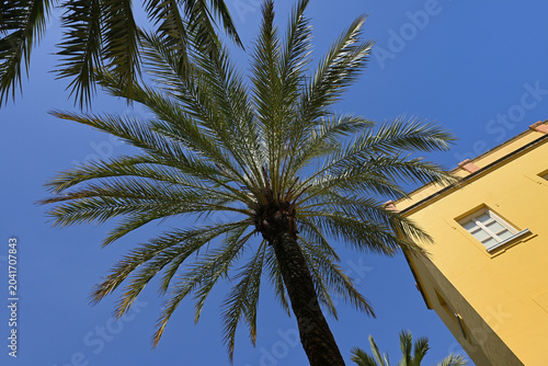 Palmiers et angle d'un bâtiment jaune de Grenade sous un ciel ensoleillé