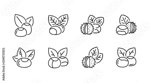 Chestnut and Leaf Icons Simple Outline Collection Isolated on White Background