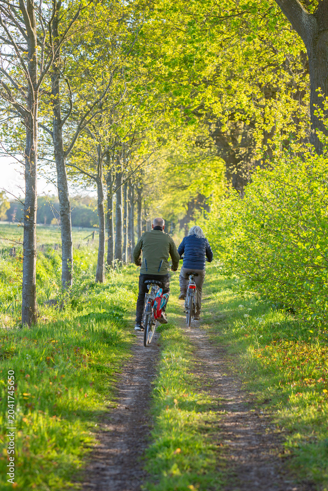 Obraz premium couple on bicycle on dirt road between spring trees in the netherlands