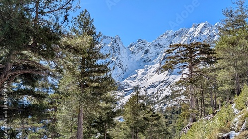 Photos Paysage montagneux