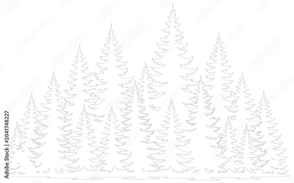 Fototapeta premium Minimalist pine forest line art vector, evergreen tree silhouettes in thin stroke style, coniferous woodland landscape outline for coloring