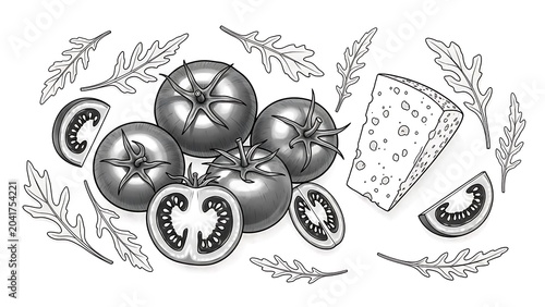Monochrome illustration of tomatoes, cheese, and arugula, top view on white