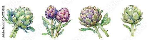 Foto Collection of artichoke paintings, Minimal yet artistic elements for creative designs