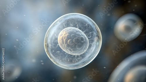 Human and Embryo Concept ,Transparent embryo sac suspended in air with soft glowing cells showing early biological development