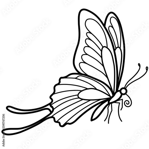 Butterfly outline vector illustration for coloring page.
