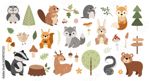 Woodland animals illustration bundle. Cartoon forest characters and plants images. Children hand drawn vector clipart.