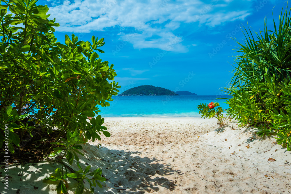 Fototapeta premium Beautiful view with blue sky and clouds, blue sea and white sand beach on Similan island, No.8 at Similan national park, Phuket, Thailand is most popular for tourist. Copy space for vacation.