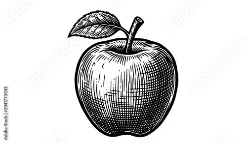 Vintage Engraved Apple Fruit Illustration Isolated Vector