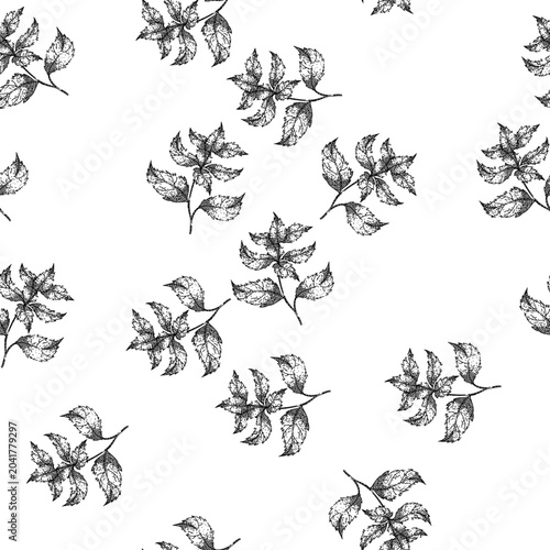 Tableau sur toile seamless pattern retro nettle hand drawn