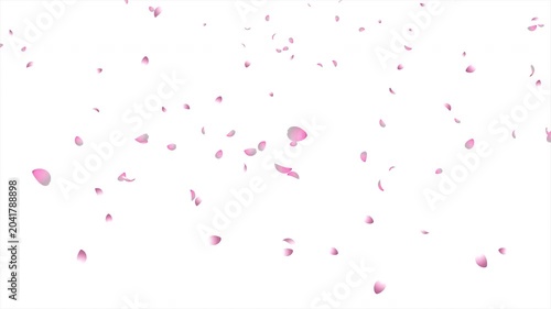 Cherry blossom petals falling animation. Pink cherry petals. Sakura leaves falling. Realistic falling blossoms. Falling petals. Japanese spring concept
