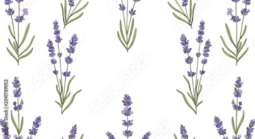 Elegant seamless background pattern of blooming lavender flowers and green leaves for floral design projects.