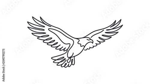 Eagle in flight line art drawing illustration.