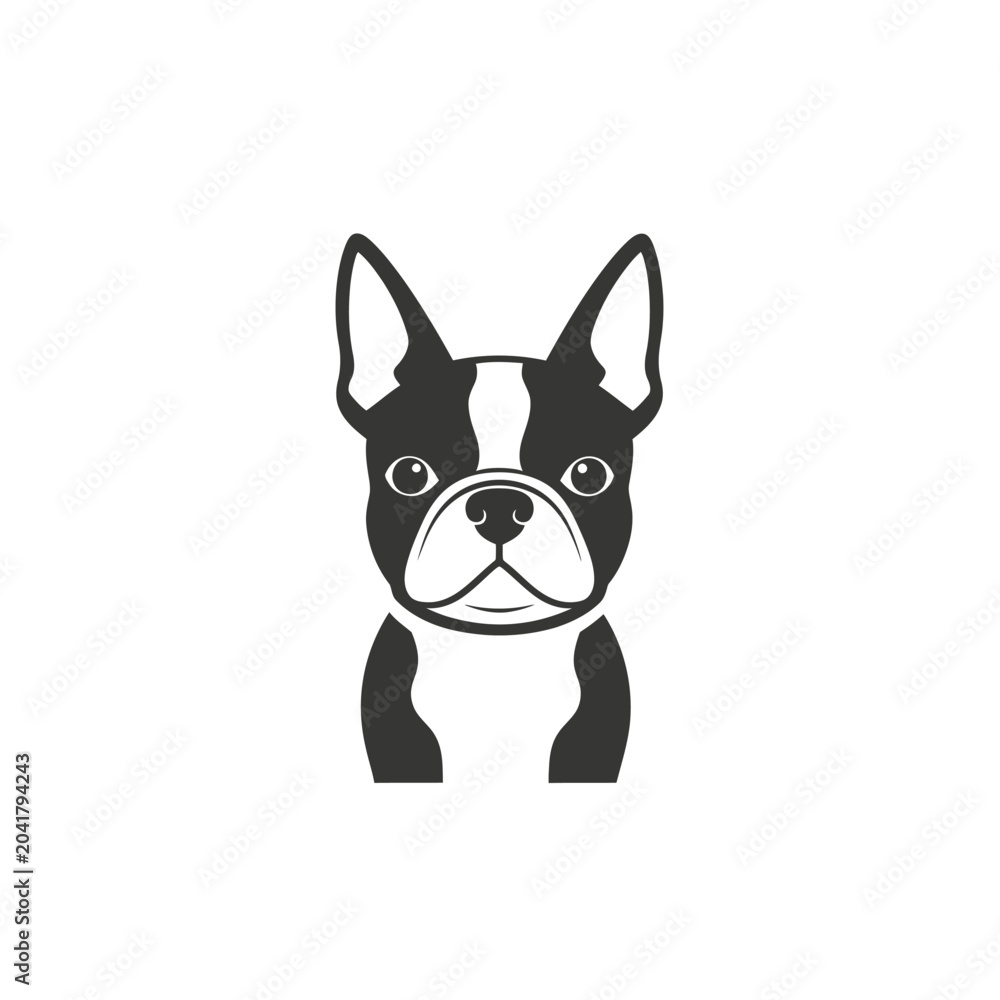 Fototapeta premium French Bulldog and Boston Terrier minimalist head icon design